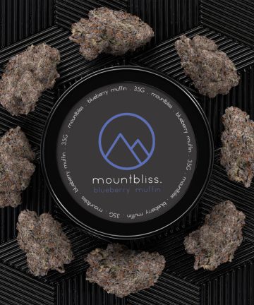 Blueberry Muffin 3.5G THC Flower